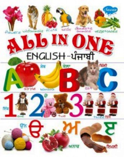 All in One, English-Punjabi